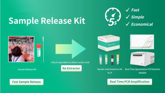 الموافقة على SGS PCR Test Home Kit DNA و RNA Extraction for Covid-19