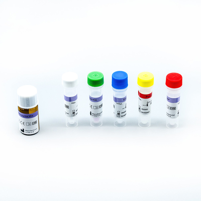 مجموعات اختبار RT PCR للتضخيم السريع في الوقت الحقيقي 48 اختبار / صندوق