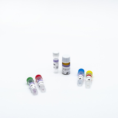 طقم كاشف PCR لخدمة OEM ODM