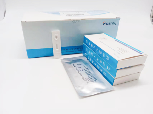 وافق CE على خطوة واحدة اختبار تضخيم الحمض النووي PCR NAAT اختبار مسحة اللعاب