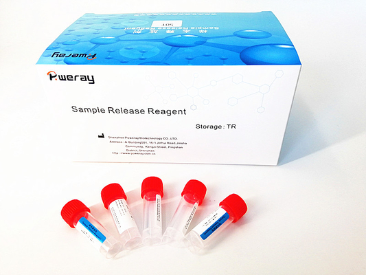 مجموعة عينات الأنف PCR الفيروسية RNA مع ISO 13485
